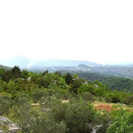 Holiday Macukin 브렐라